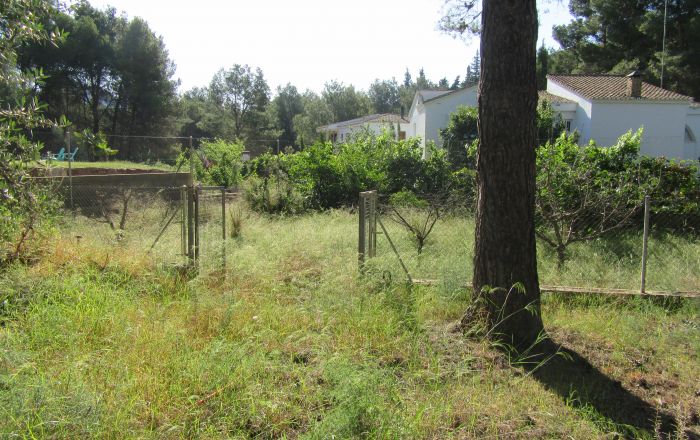 <p>Urbanización La Carrasca. Terreno urbano en el corazón de Náquera. En la mejor zona residencial, parcela con todos los servicios, con acceso asfaltado, parcela completamente vallada, con licencia de obra nueva mayor pagada y proyecto de ejecución realizado, para su modificación y adaptación. La parcela está totalmente vallada y contiene una piscina de 100 m3. Tiene agua potable y luz eléctrica. Mejor ver.</p>